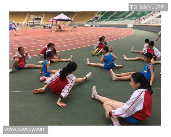 武汉网球队的拼搏历程与荣耀时刻全景回顾